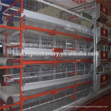 factory price for layer poultry cages/automatic Poultry cage